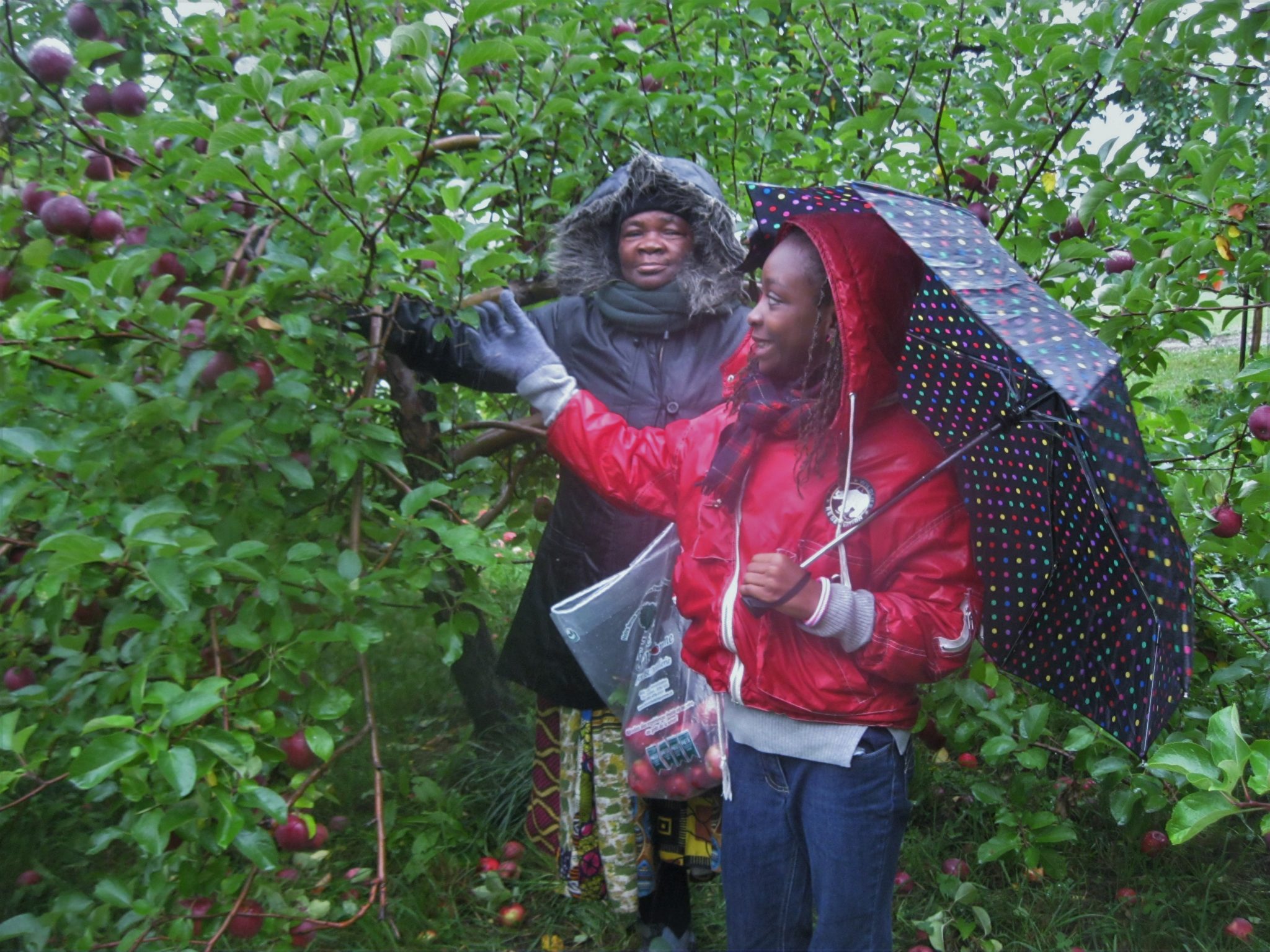 IMG_4373EDITED-1-2048x1536